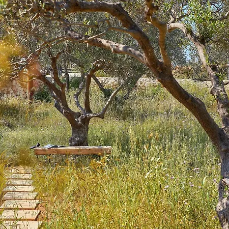 Olives And Thyme Retreat Villa *