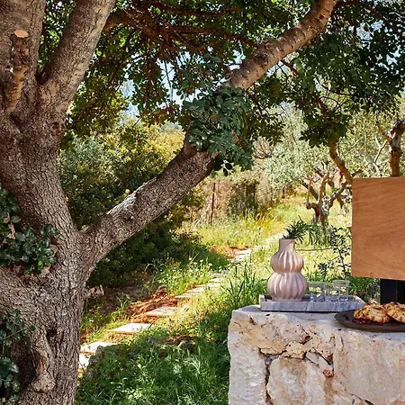 ヴィラ Olives And Thyme Retreat ハニア